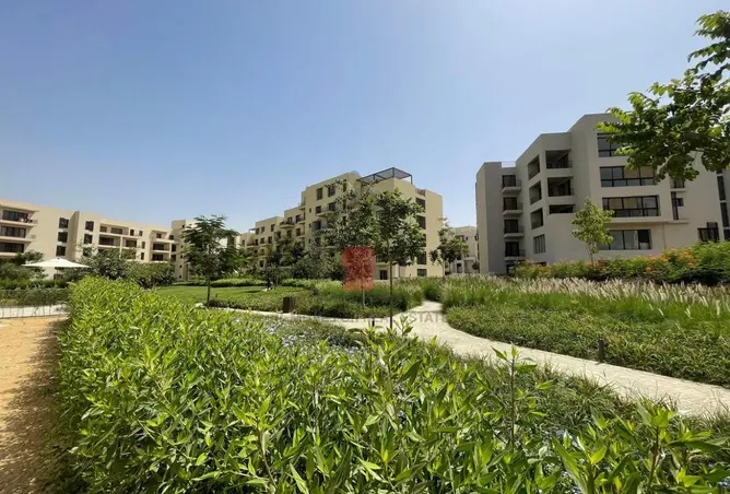 113531948 - صورة العقار 3
