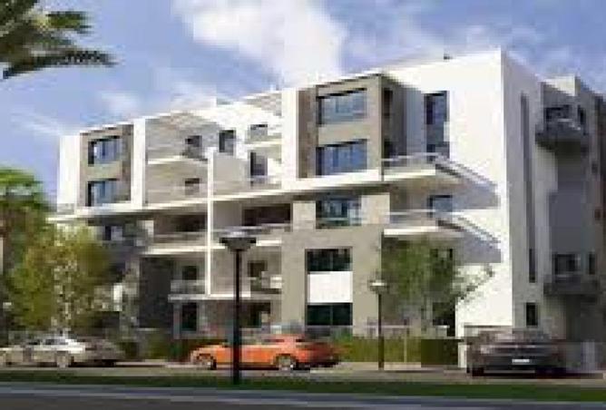 61686810 - Property Image 3