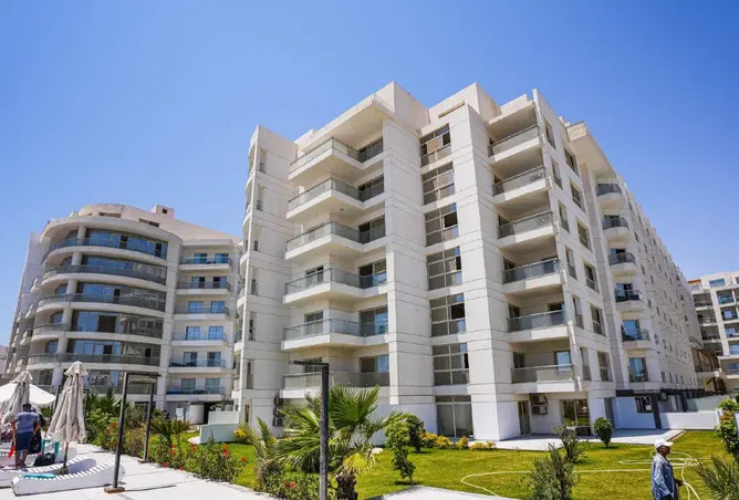 71905002 - Property Image 3