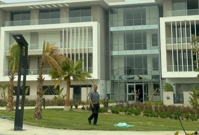 66963879 - صورة العقار 3