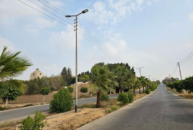 105458581 - صورة العقار 2