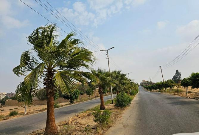 105458581 - الصورة الرئيسية للعقار