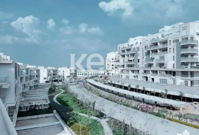 117272711 - Property Image 3