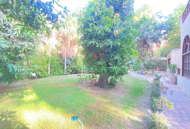 75131337 - صورة العقار 3