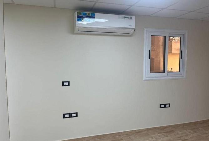 55511641 - Property Image 3