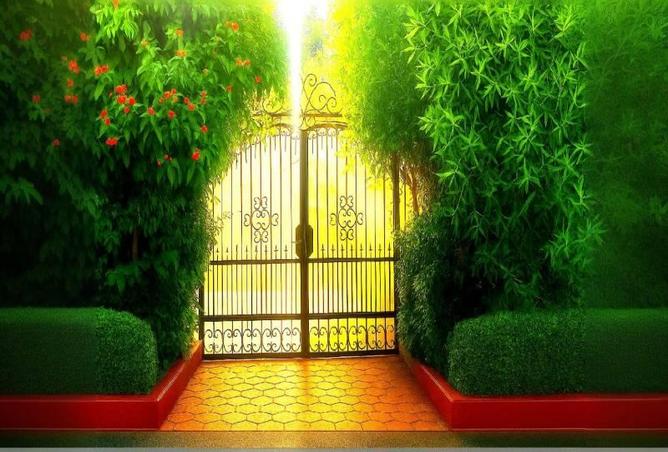 56240435 - الصورة الرئيسية للعقار