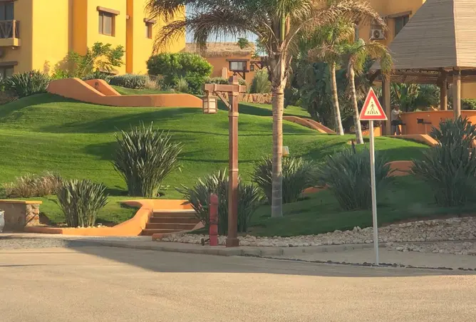115452190 - صورة العقار 3