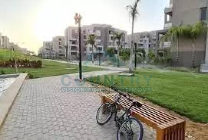 66953966 - صورة العقار 3