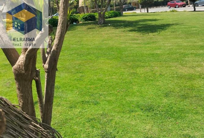 8618331 - Property Image 3