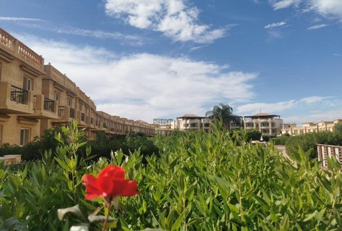 8478227 - Property Image 3