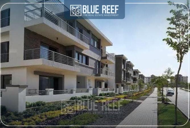 8473800 - Property Image 2