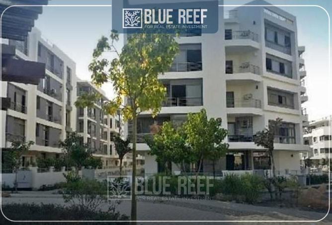 8473800 - Property Image 3