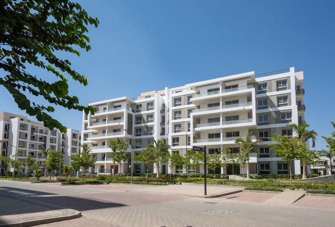 8498134 - Property Image 2