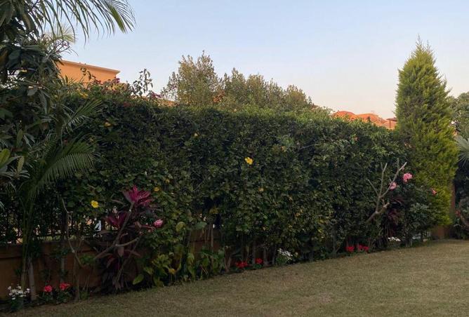77323520 - Property Image 3