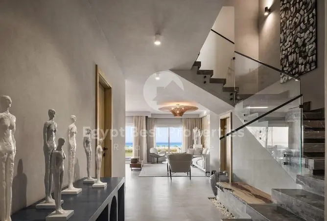 117539427 - Property Image 3