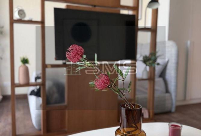 8585010 - Property Image 3