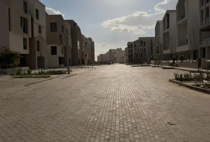 117528145 - Property Image 3