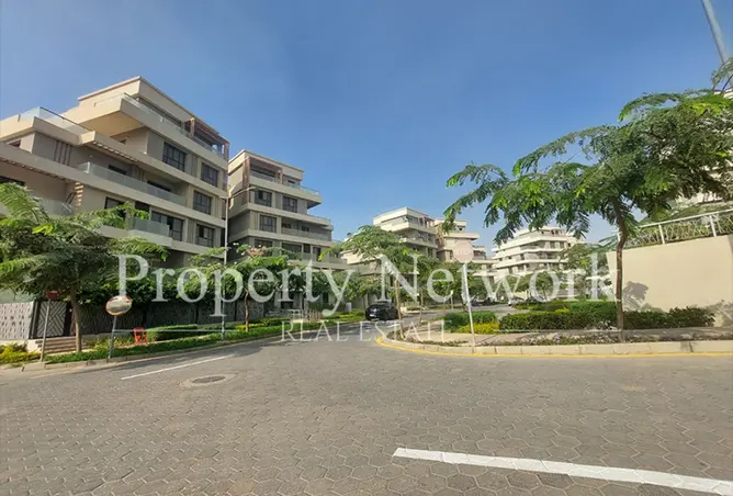 113250597 - Property Image 2