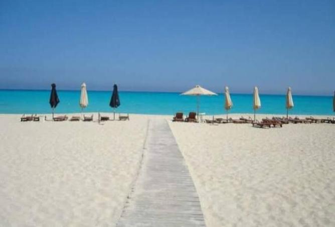 53989521 - Property Image 3