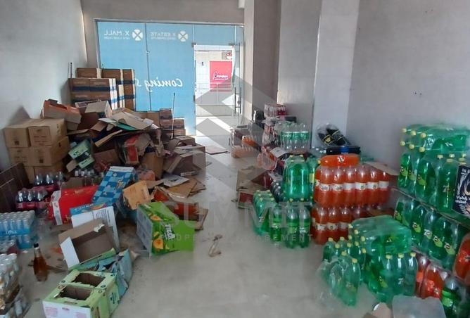 61927110 - Property Image 3