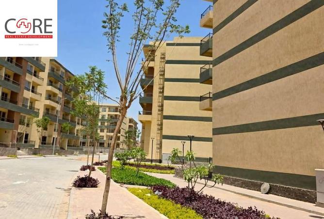 64648548 - صورة العقار 3