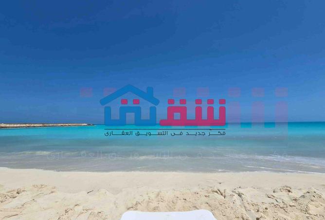105438755 - صورة العقار 3