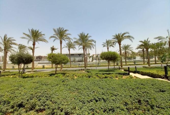 59501114 - Property Image 3