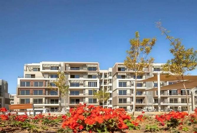 59501075 - Property Image 2