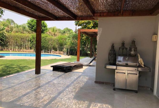 68003739 - صورة العقار 3