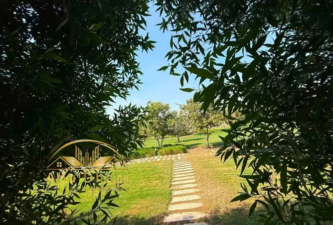 87512902 - صورة العقار 3