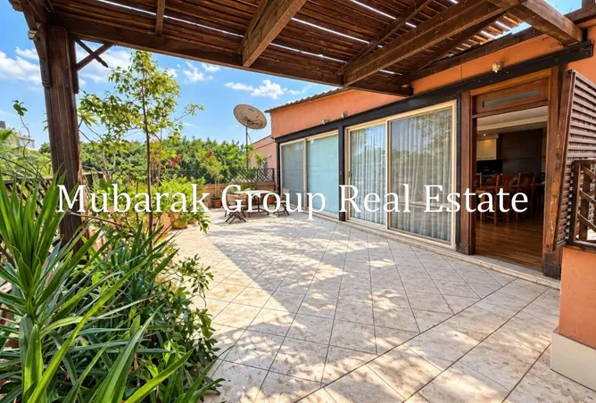 116498601 - Property Image 3