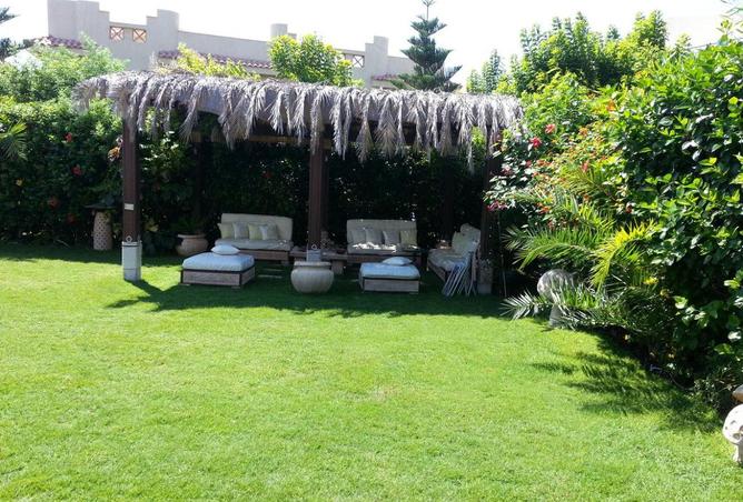 64639193 - صورة العقار 3