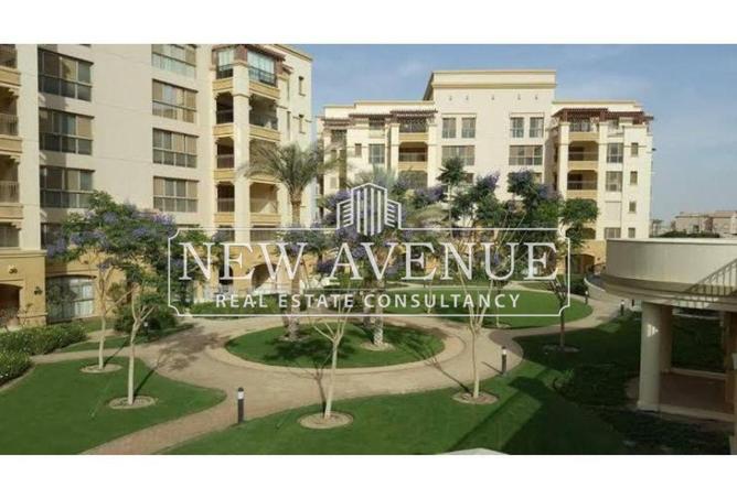 8600341 - Property Image 3