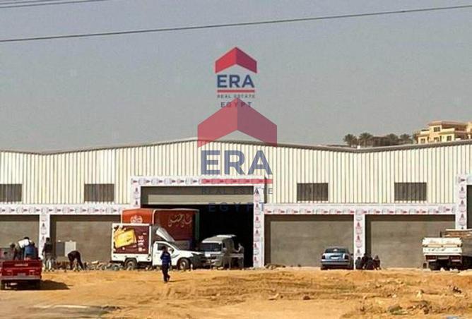 55009254 - Property Image 2