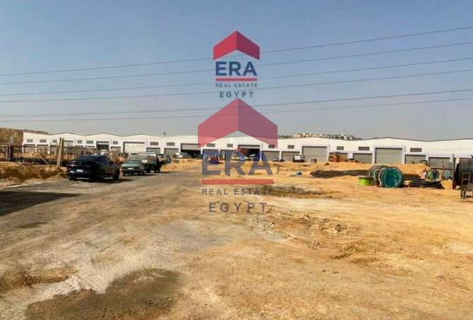 55009254 - Property Image 3