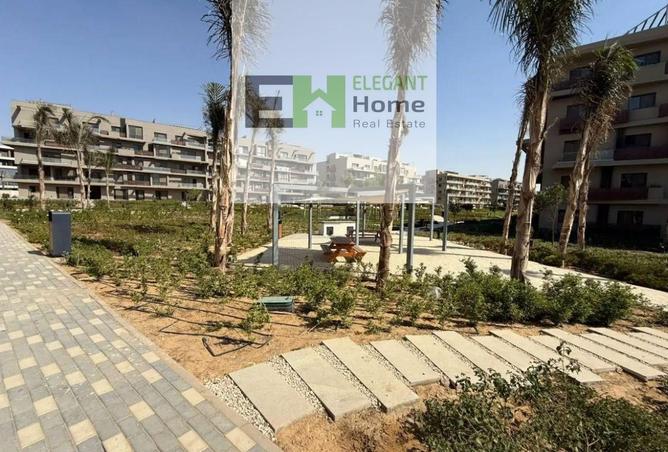 58245043 - صورة العقار 3