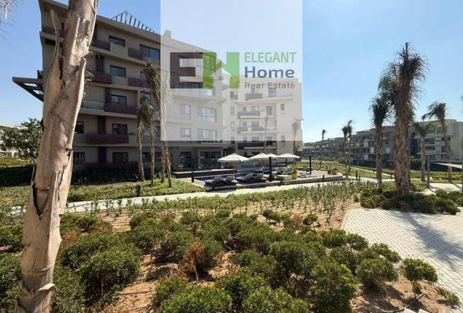 58245043 - صورة العقار 2