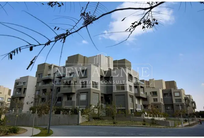 112711953 - Property Image 2
