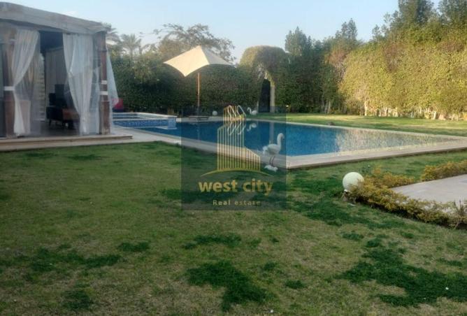 66207806 - Property Image 2