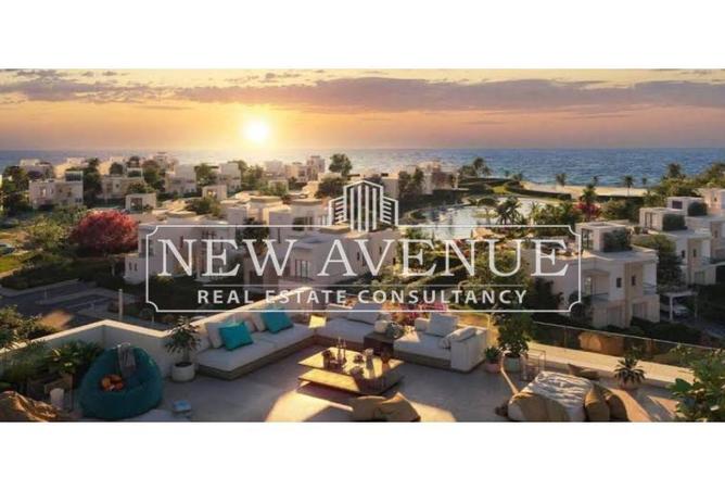 8704460 - Property Image 3