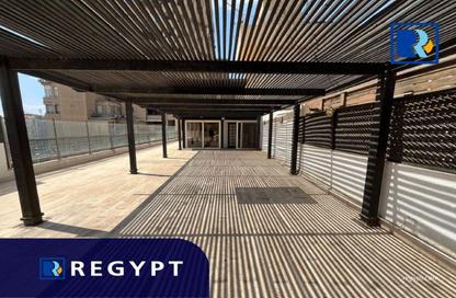 Penthouse - 4 Bedrooms - 4 Bathrooms for rent in Ismail Mohamed St. - Zamalek - Cairo