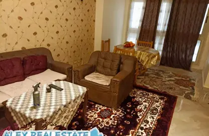 شقة - 2 غرف نوم - 1 حمام للايجار في شارع جراند فيل سموحة - سموحة - حي شرق - الاسكندرية