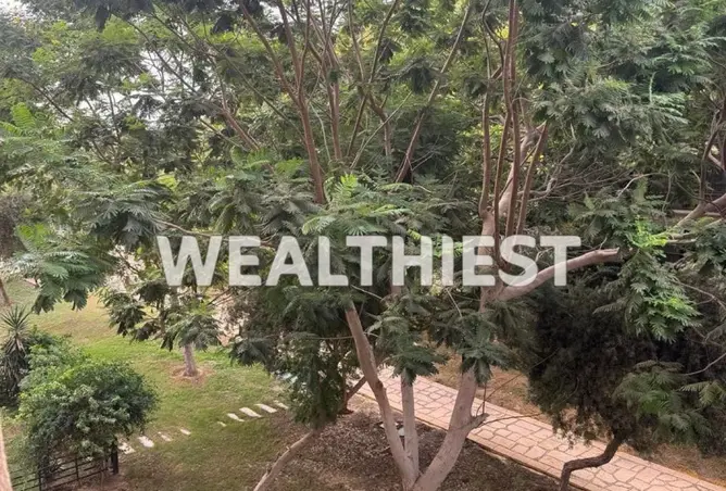 117536482 - Property Image 3