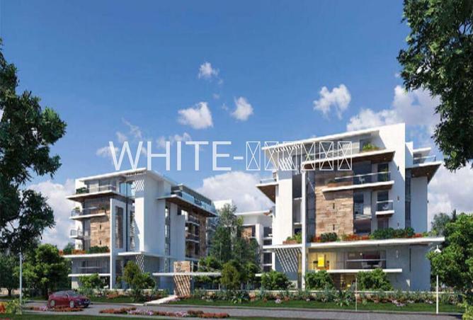 75120728 - Property Image 2