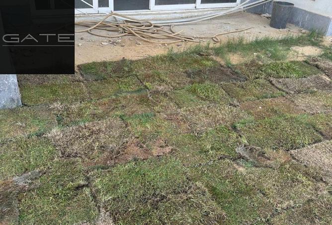 55992731 - صورة العقار 2