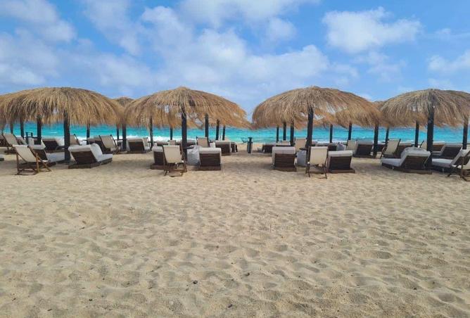 59244749 - صورة العقار 2