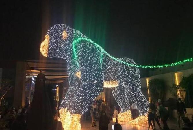 63140277 - صورة العقار 3