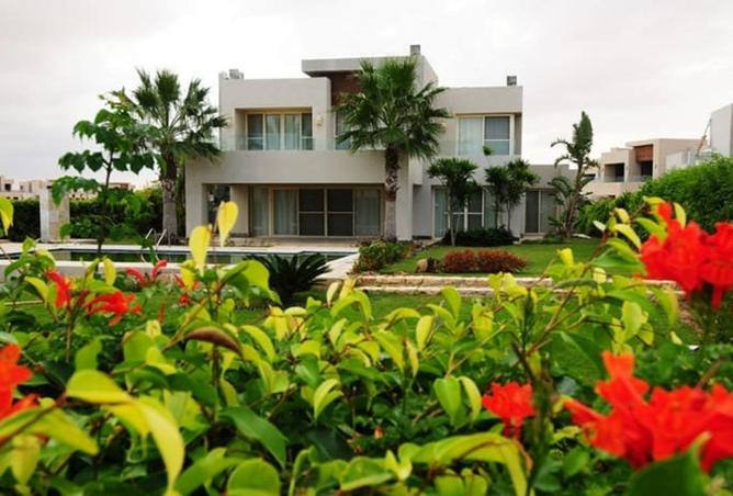 65911151 - صورة العقار 2