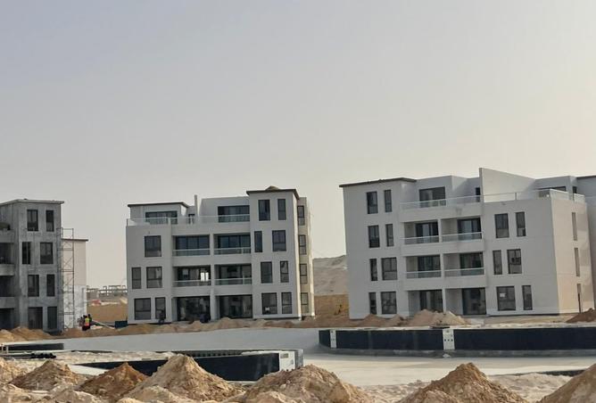91579668 - Property Image 2