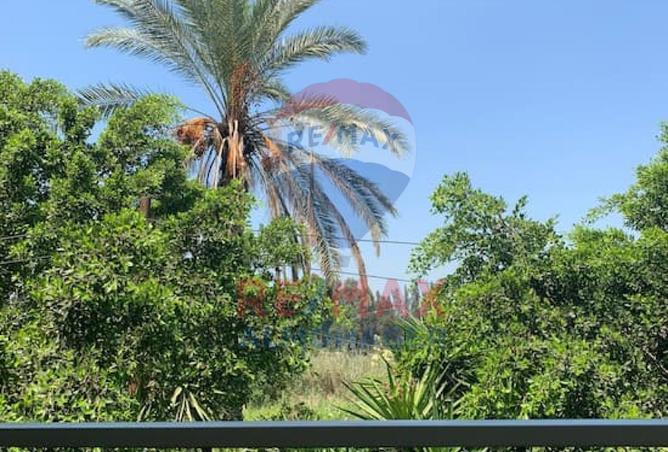 8450439 - صورة العقار 3